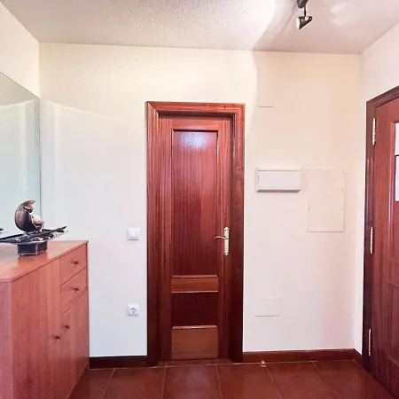 Fgdr261d El Zapato *